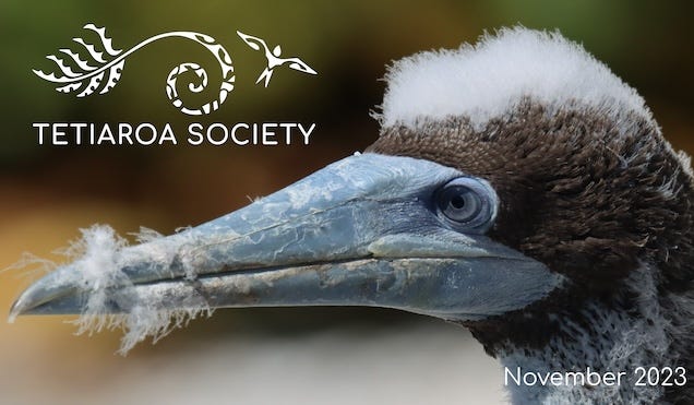 Tetiaroa Society | News from the Atoll | November 2023