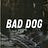 BAD DOG