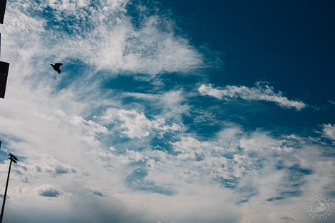 Fuji photographs of life in Montana by Tyler Knott Gregson 