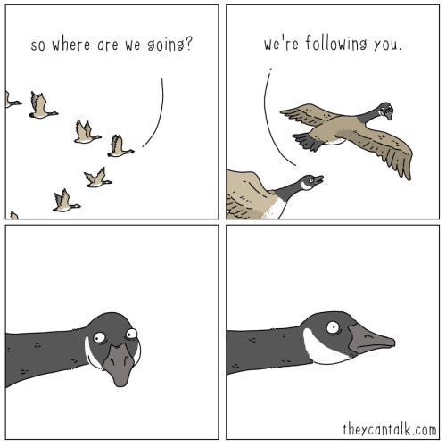 predicament predicament
