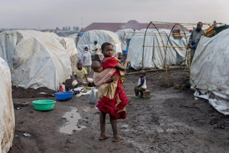Archive - Displaced by the violence in Ituri (DRC) - MSF