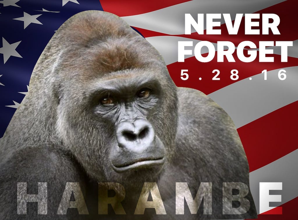 Steam Community :: :: rip harambe