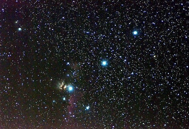 Tornano le stelle cadenti, sono figlie della cometa di Halley - 3 di 7 -  Repubblica.it
