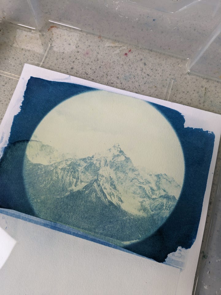 double exposure cyanotype print process