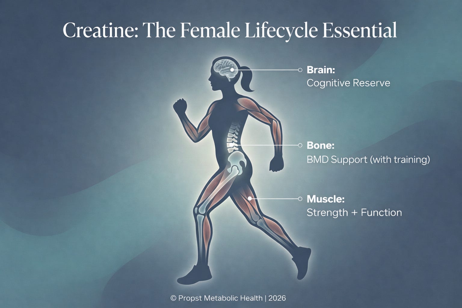 The Creatine Rebrand: From “Gym Bro” Supplement to Metabolic Essential