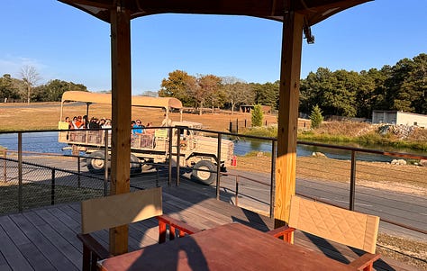 Savannah Sunset Resort New Jersey glamping tents