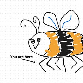 My Thoughts on Spolsky's Thoughts on In-house Development