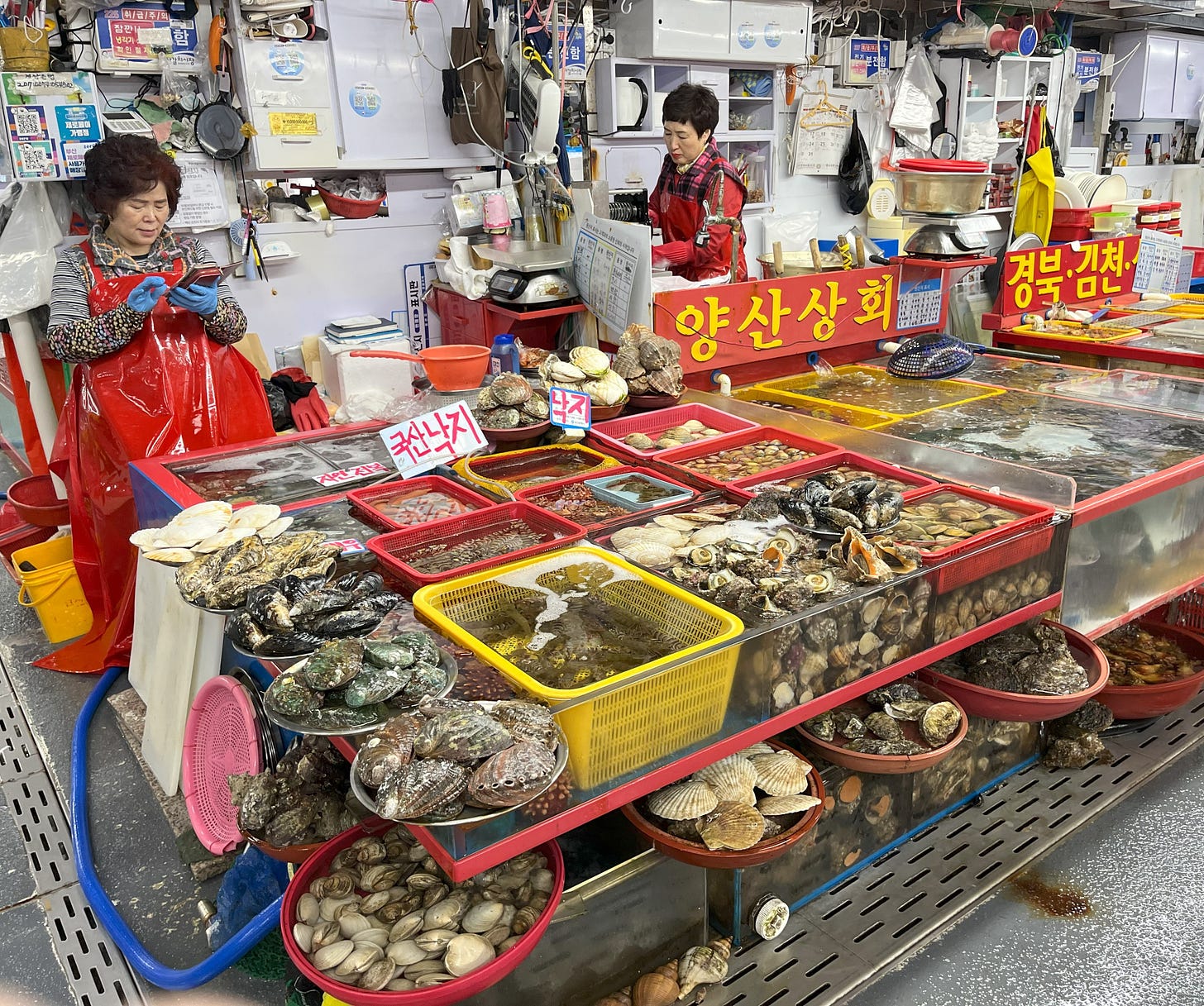 two female vendors at Jagalchi Market, Busan