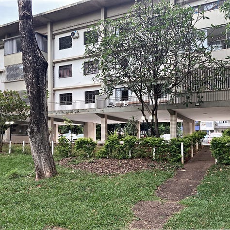Bloco de superquadra emoldurado por vegetação que dificulta a passagem.