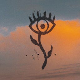 Fotografía para sentir-se naturaleza