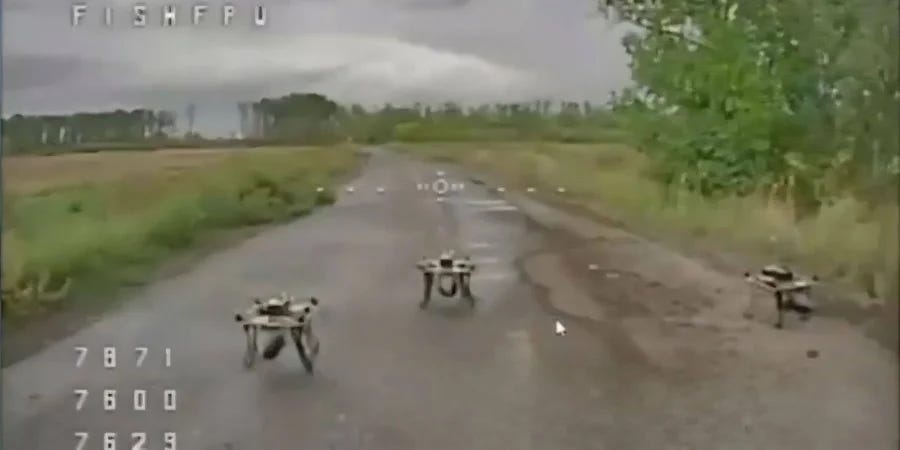 Enemy ambush drones spotted on the road (Photo: Screenshot from video / About communication by Serhii Flesh / Telegram)