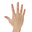 David Hanak's avatar