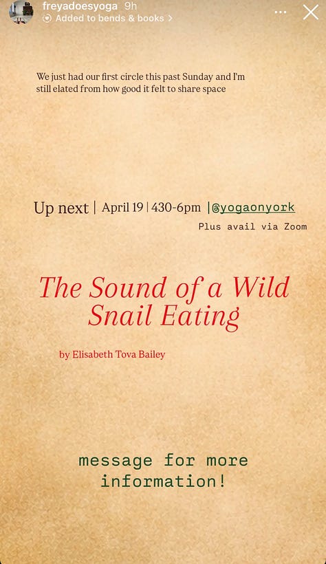 connecting the dots between yoga with Freya and giving away cranes on a stick