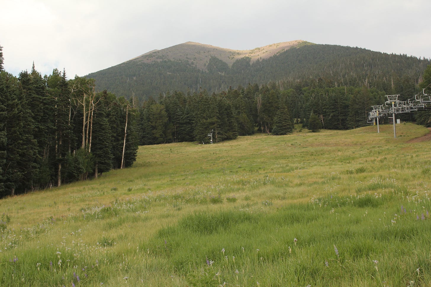 two mountain peaks and a short meadow
