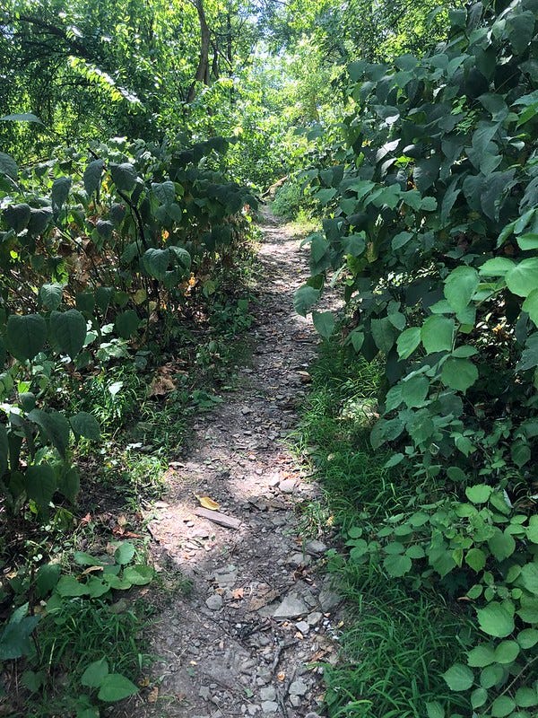 Trail that follows the old Fritz Street to German Square