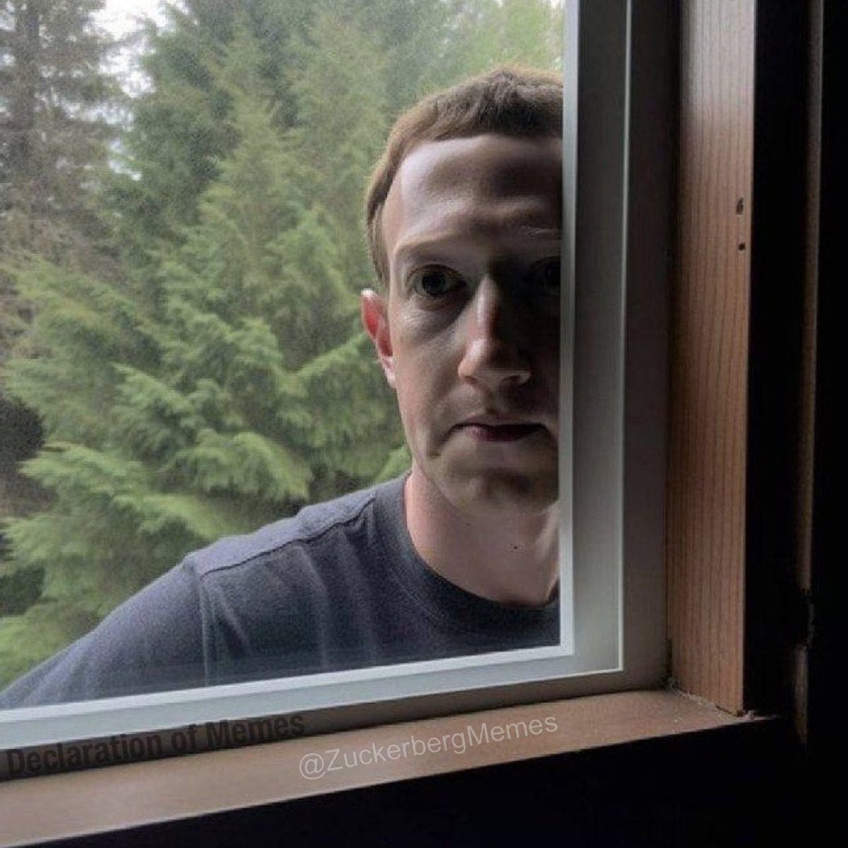 Mark Zuckerberg watching all of us on his new app like #zuckerbergmemes