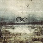 Biofoundationalism VI: Order Acts, Chaos Is