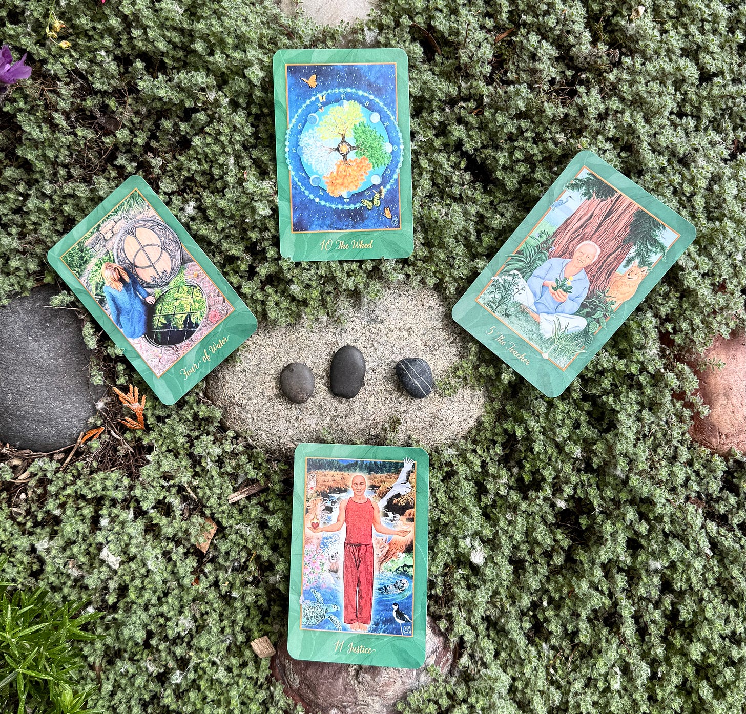 4 Gaian Tarot cards, stones, and wooly thyme 4 Gaian Tarot cards, stones, and wooly thyme