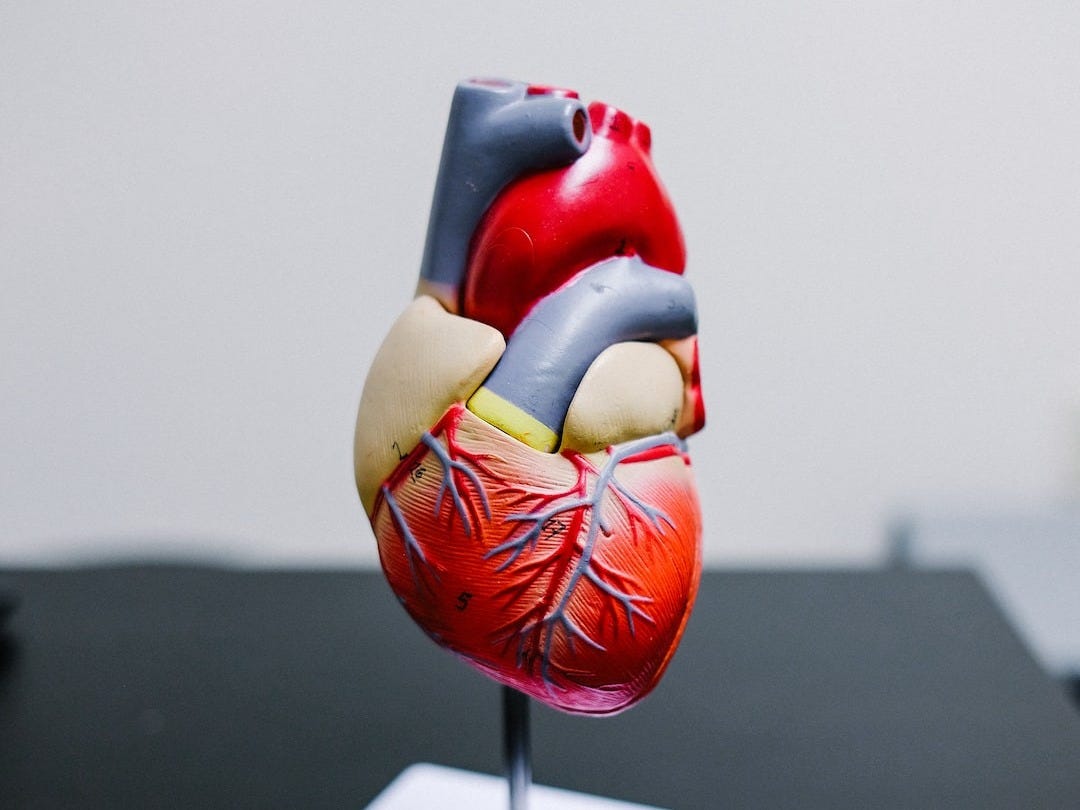 Artificially Intelligent Heart Disease Detection Device Earns AMA Approval