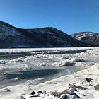 Field Notes: January 2026