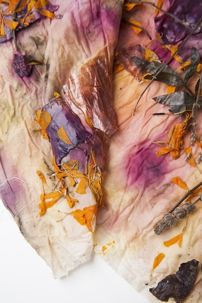 This may contain: two pieces of paper with dried flowers on them