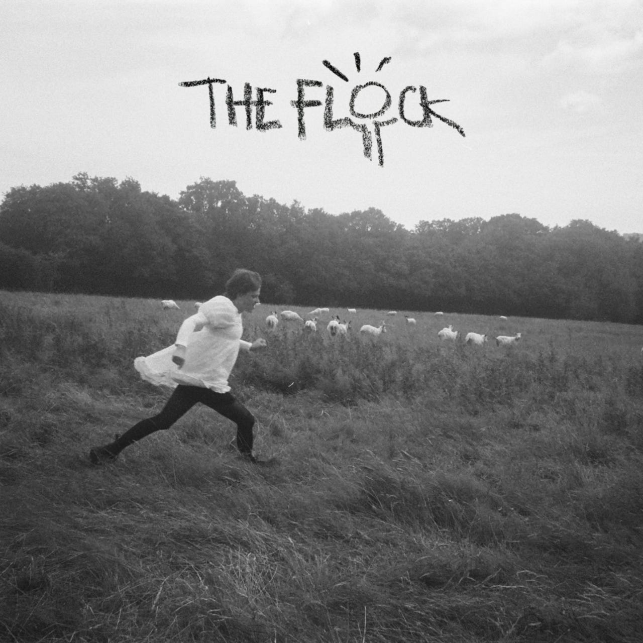 The Flock