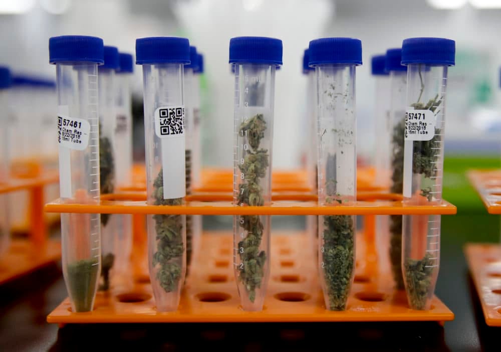 Adult-Use Cannabis Will Soon Be Able To Be Lab-Tested, As The Law Requires  | WBUR News