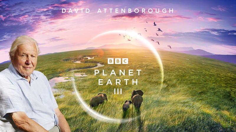 Planet Earth III: explore the world's last wild places - Nine for Brands