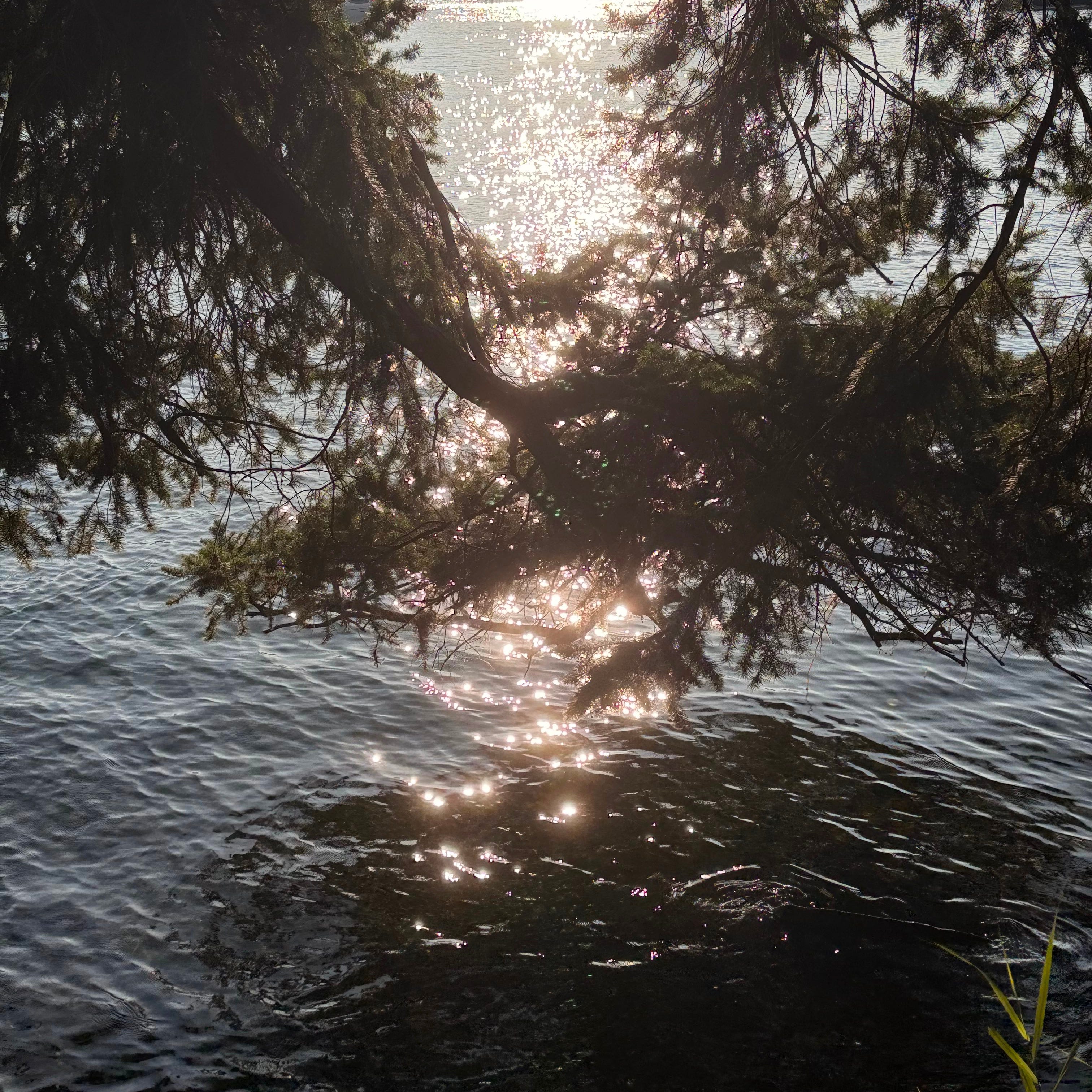Enchanted Circle 