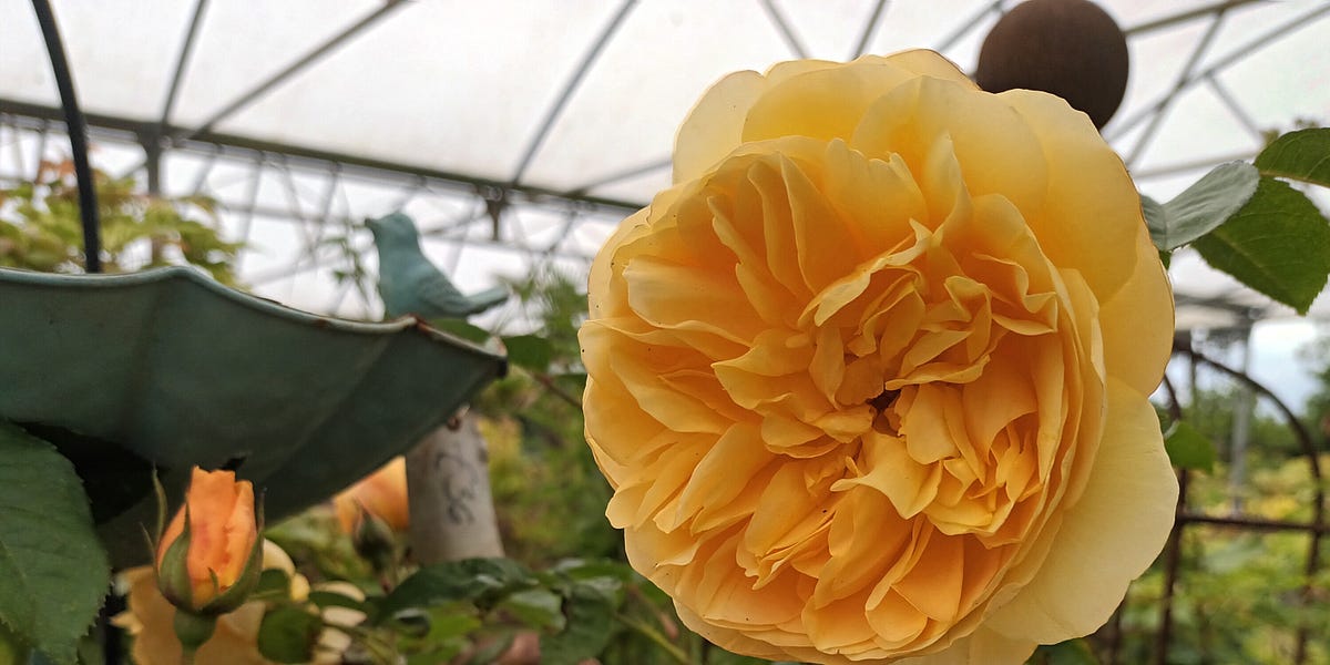 c79d50b3-00f0-4cb4-ab47-