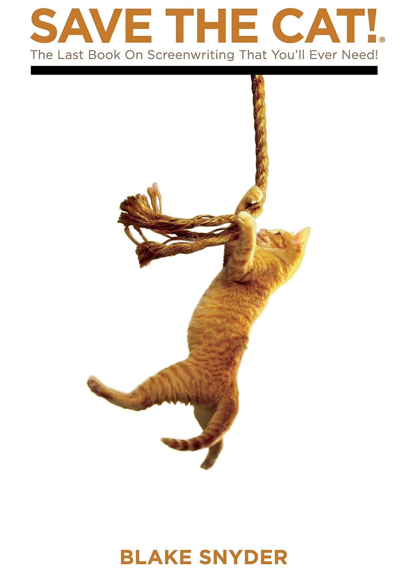 Save The Cat! The Last Book on Screenwriting You'll Ever Need: Blake  Snyder: 0001932907009: Amazon.com: Books