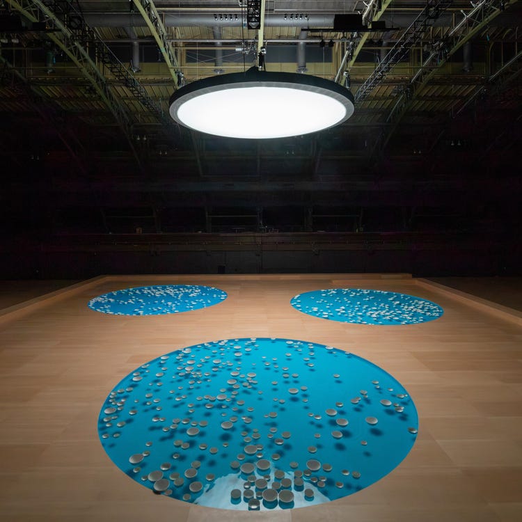 Céleste Boursier-Mougenot: clinamen - Park Avenue Armory, New York - Museum  Exhibitions - Paula Cooper Gallery