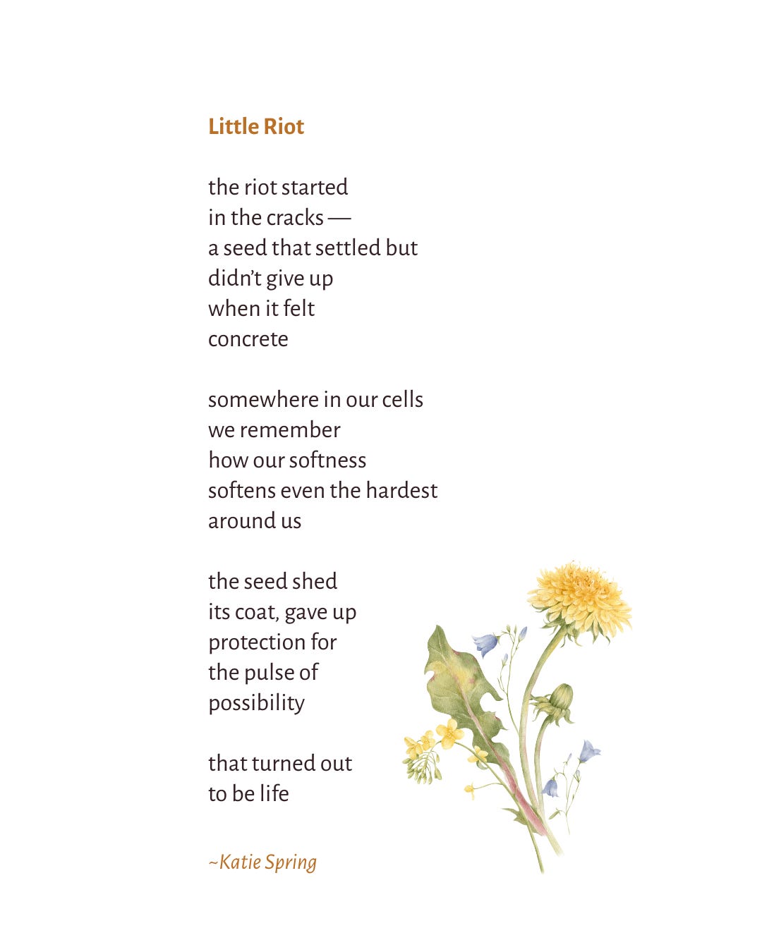 Little Riot: a poem by Katie Spring