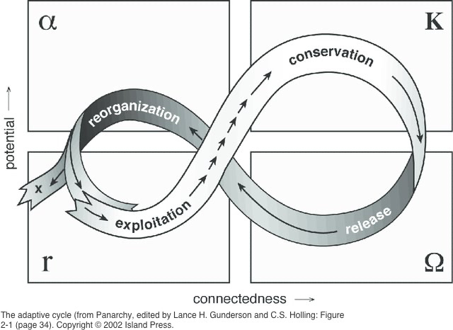 Adaptive design is response-able design