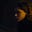 شُ's avatar