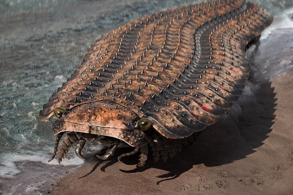 These huge, deadly prehistoric insects, from acid-spaying ants to cat-sized  scorpions, are among the most terrifying bugs that have ever lived |  Discover Wildlife