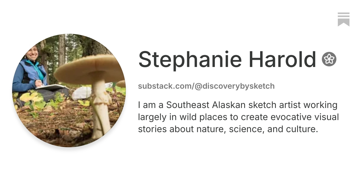 Stephanie Harold | Substack