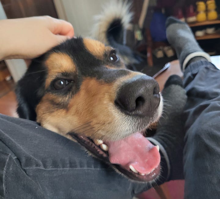 Photos of Theodore Abigail cuddling and playing with their dog Lucky