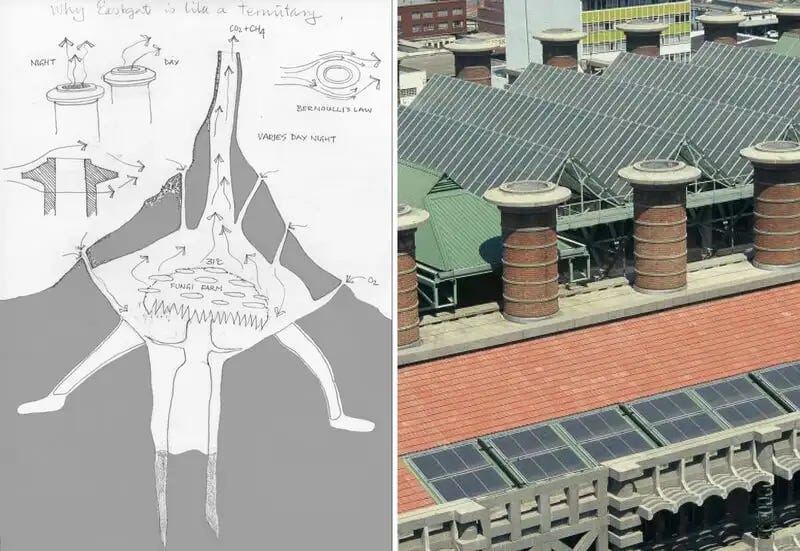 Dibujo del termitero (izquierda) y fotografía de las chimeneas del edificio (derecha)