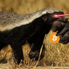 ハニーバッジャーとビットコインの共通点6選🍯🦡#47