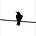 Mark Tulin's avatar
