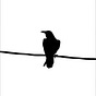 Mark Tulin's avatar