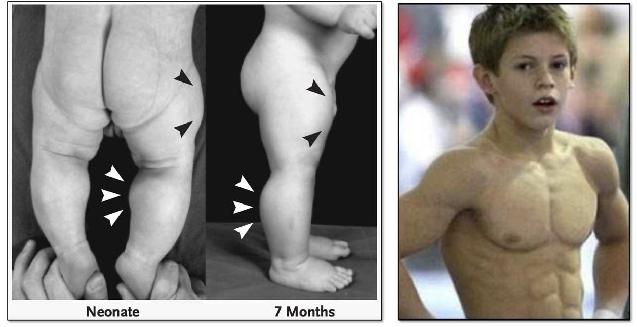 A collage of a person's body

AI-generated content may be incorrect.