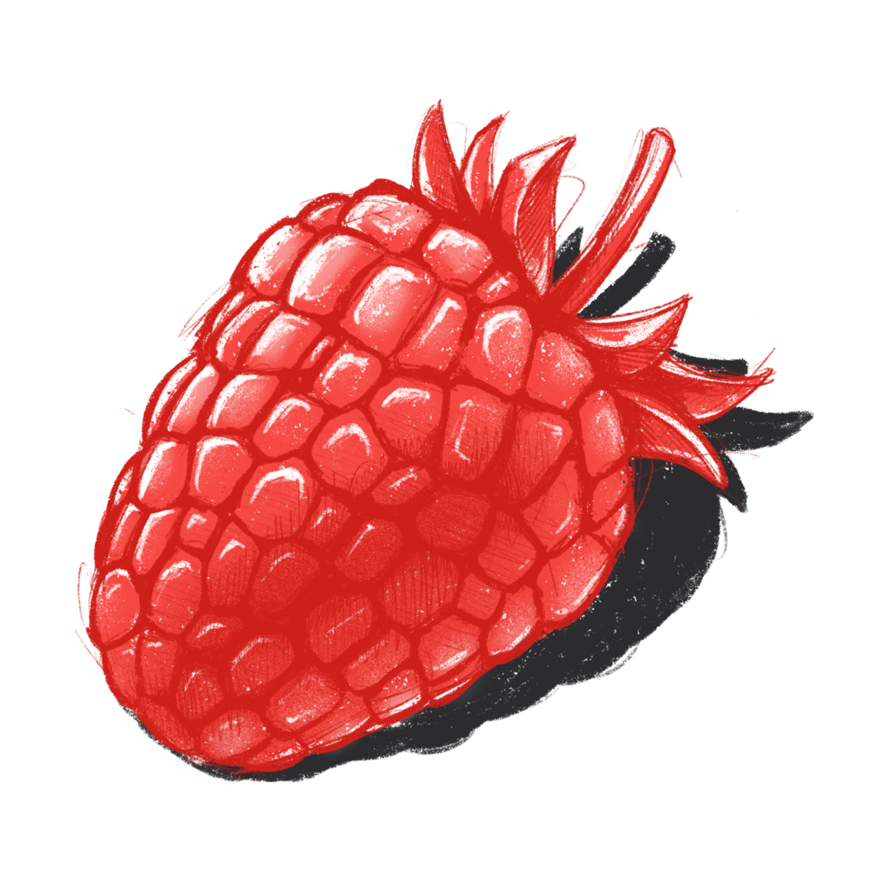 Berry by The Visual Agency