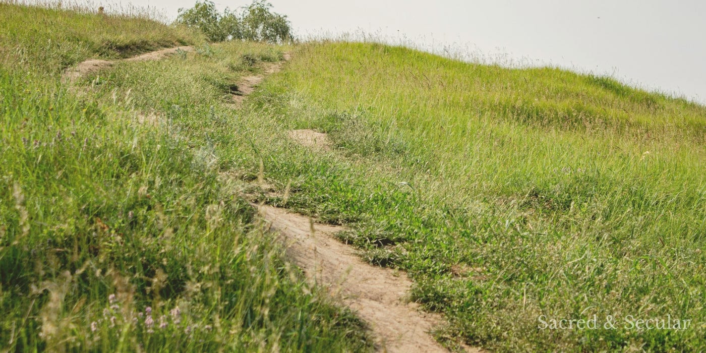 Path through a field climbing into the distance Path through a field climbing into the distance