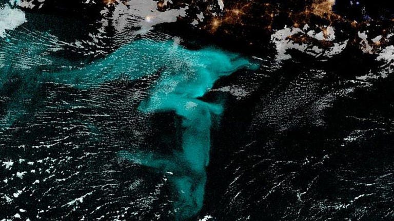For centuries, sailors have told tales of milky seas – huge swaths of ocean glowing on dark nights, seen in blue in this false–colour satellite image.