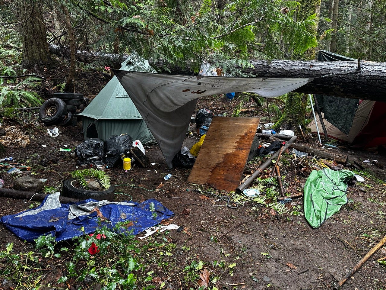 A tent and tents in the woods

Description automatically generated