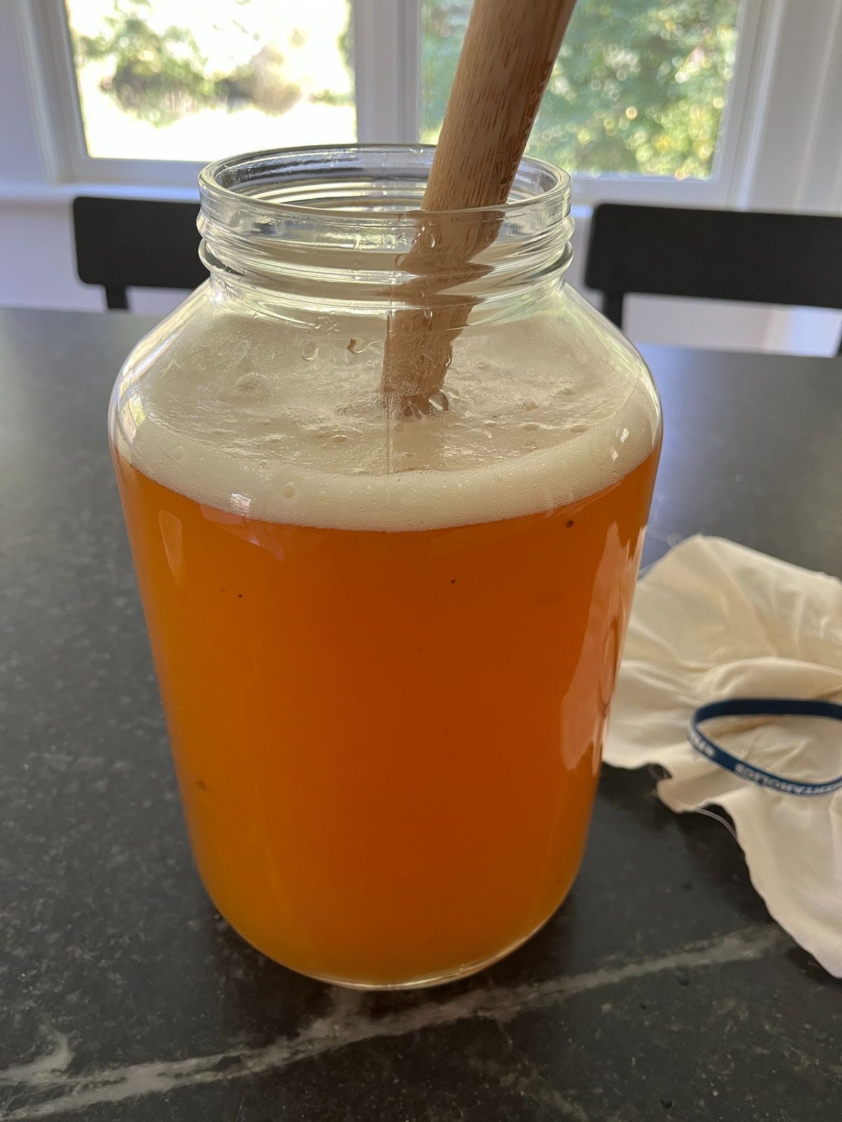 kombucha tea with a head of fizz