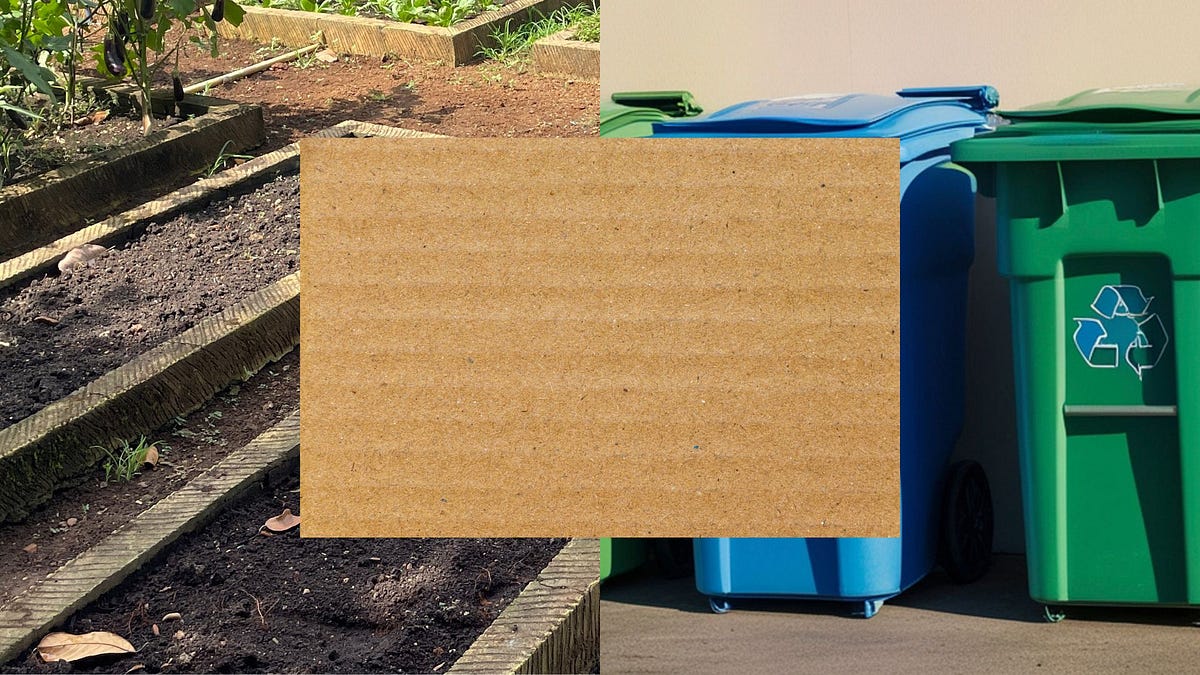 My Health Forward: Is cardboard safe in your soil?