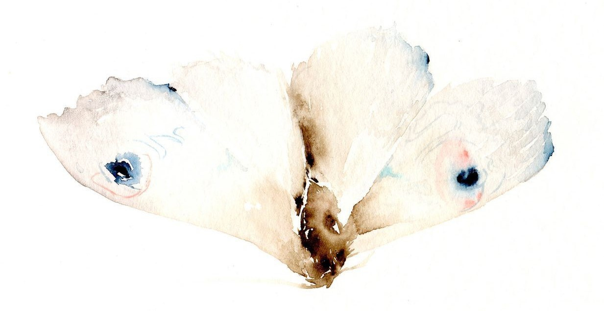 This may contain: a watercolor painting of a white bird with blue eyes and feathers flying in the air